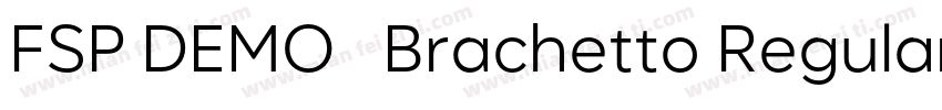 FSP DEMO   Brachetto Regular字体转换
